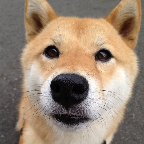 高校体育场馆利用效率提升策略，学校体育场馆运营管理方案