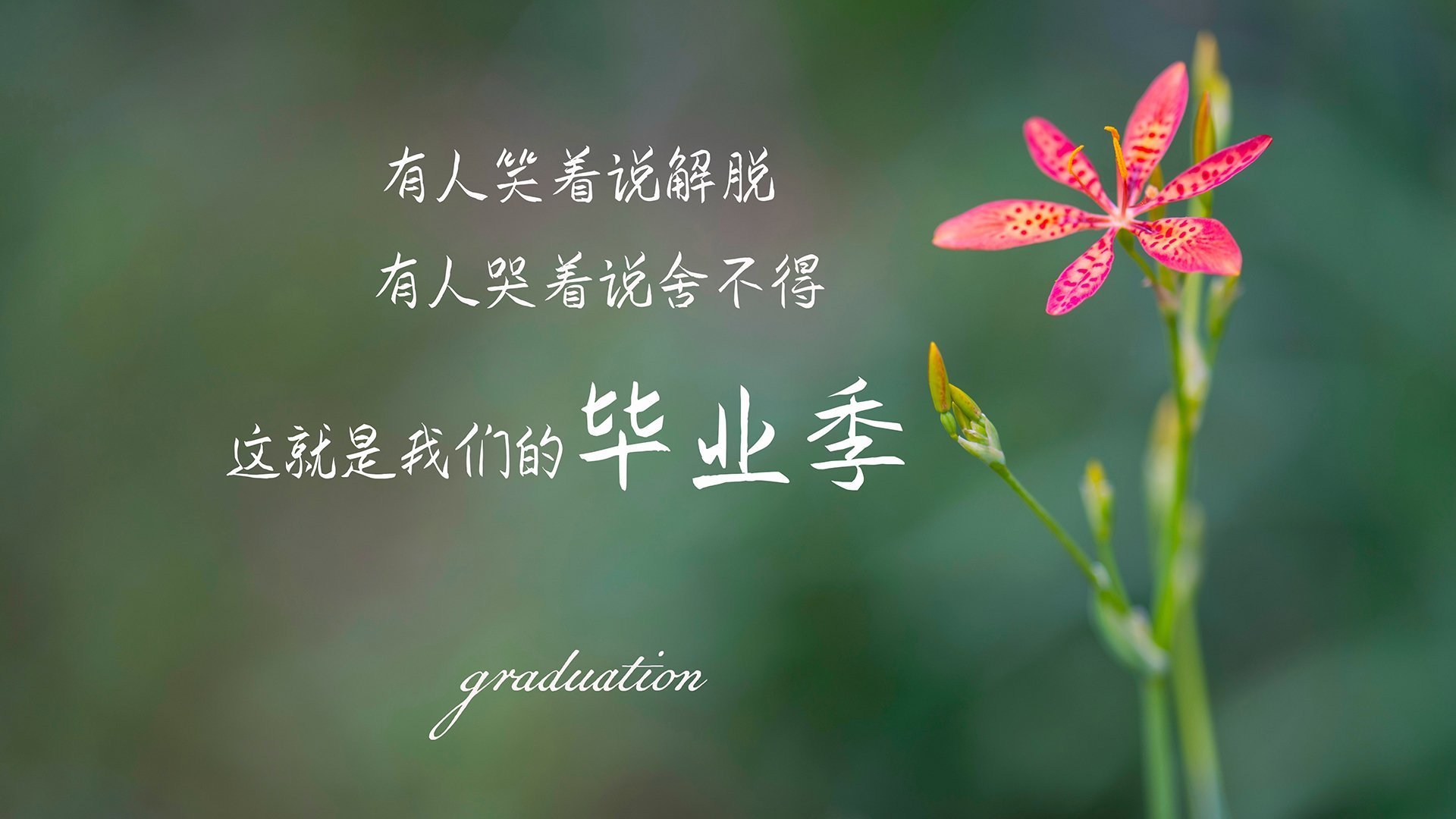 中国男篮备战世界杯 球员状态调整到位，中国男子篮球世界杯