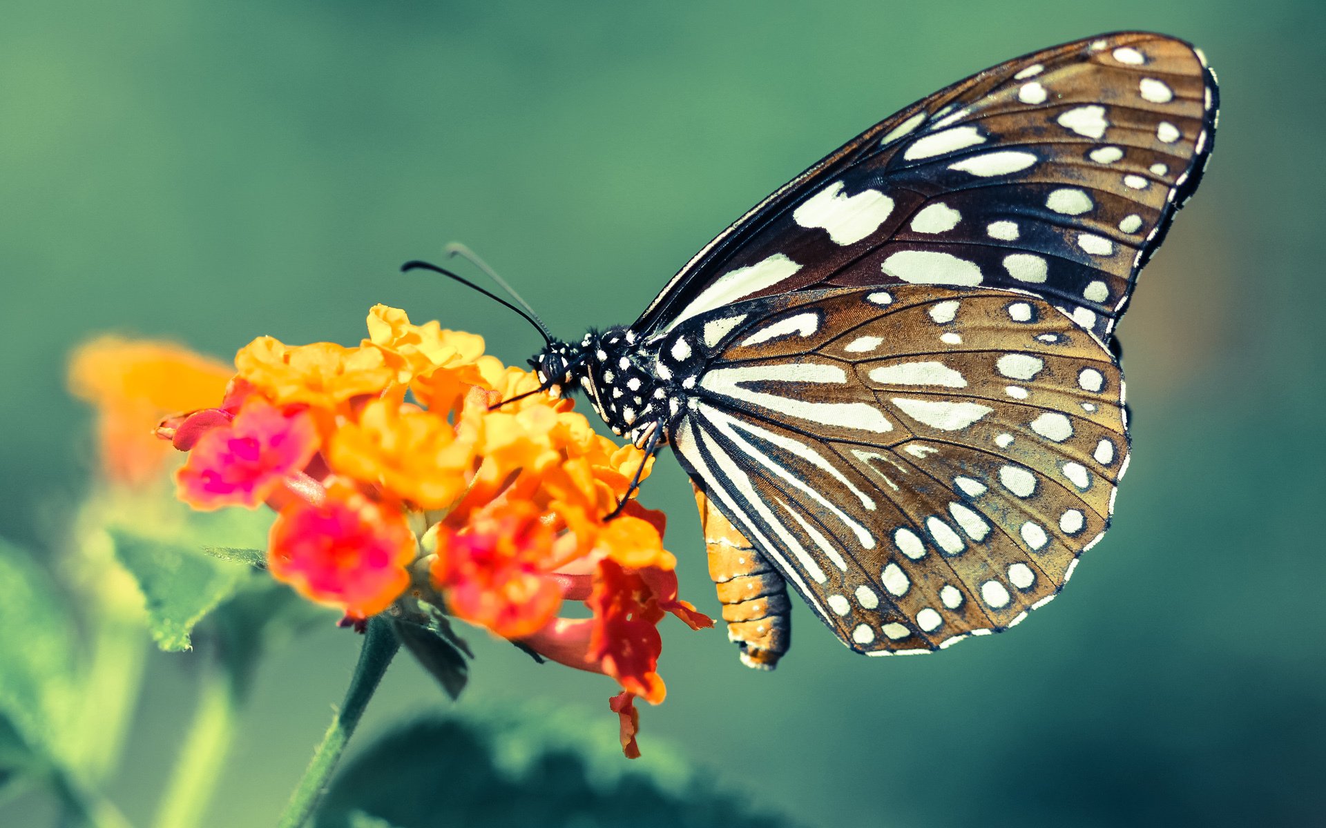 体育新闻中心发布青少年体育媒体素养指南，青少年体育素质教育