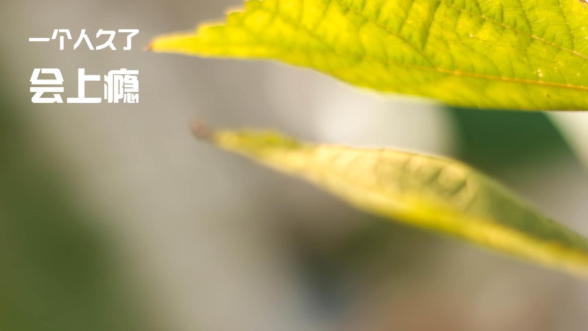 国家队缺乏技战术创新，国家队存在