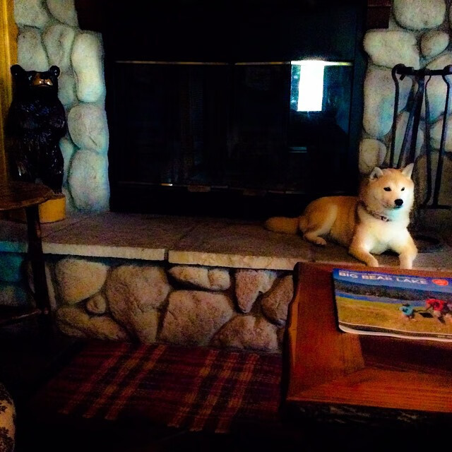 新赛季比赛用球升级改进触感与弹性，2021年比赛用球