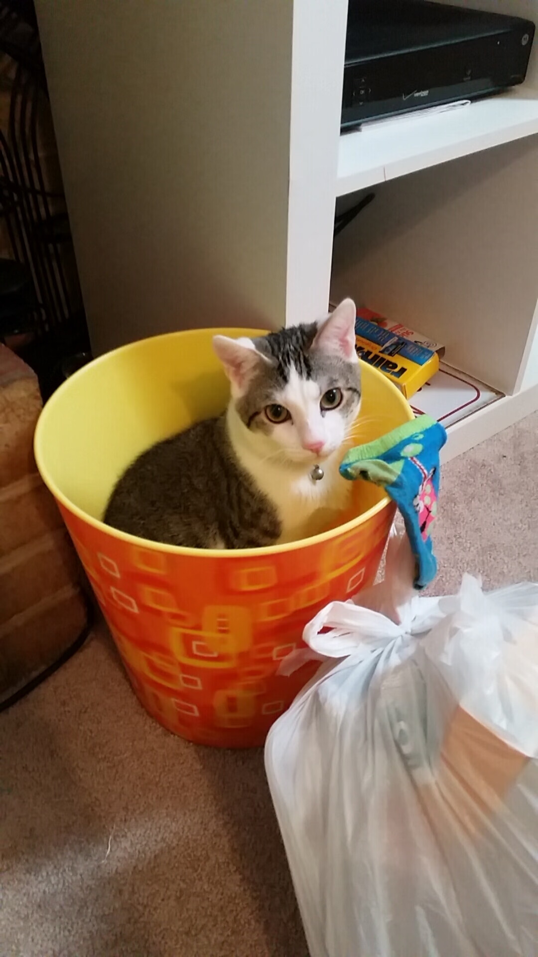 华体会官方网站-王者荣耀版本热议话题不断玩家分歧明显，王者荣耀新版本理解