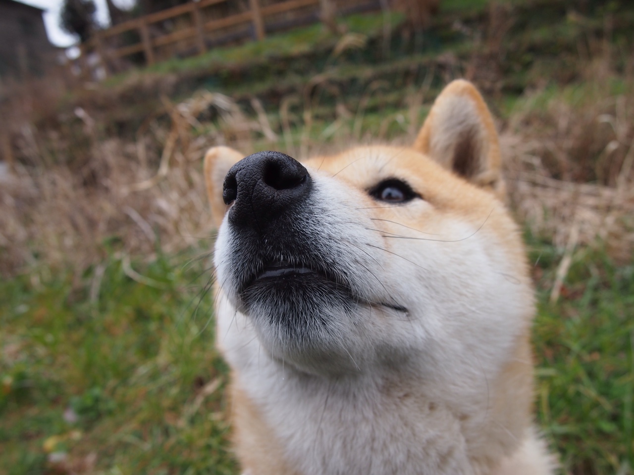 国家举重管理中心举办训练科学化论坛,国家举重队领队 是谁