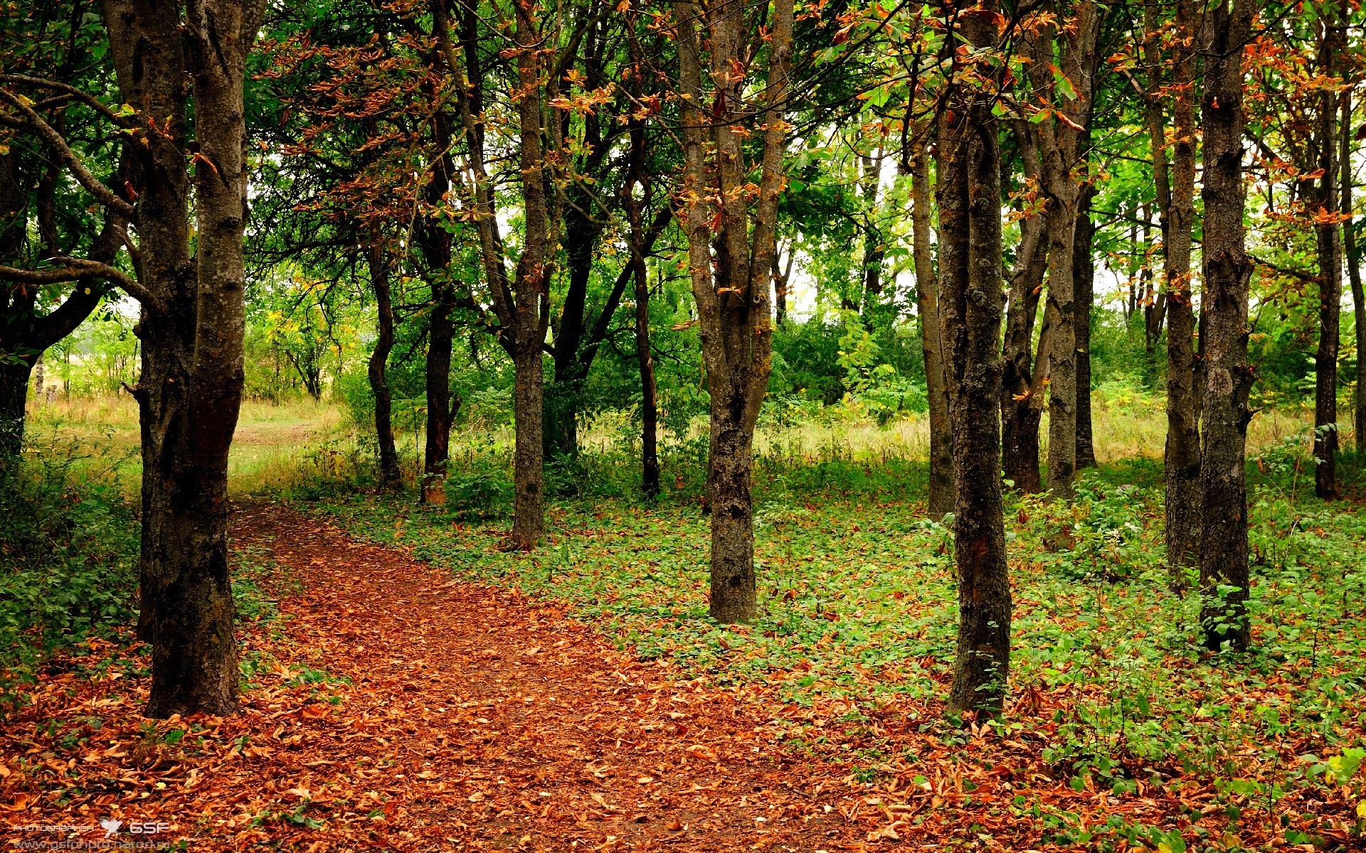 华体会app登入-斯洛伐克男篮在欧洲大赛中踏上新征程，勇夺荣耀，斯洛伐克欧洲杯球员名单
