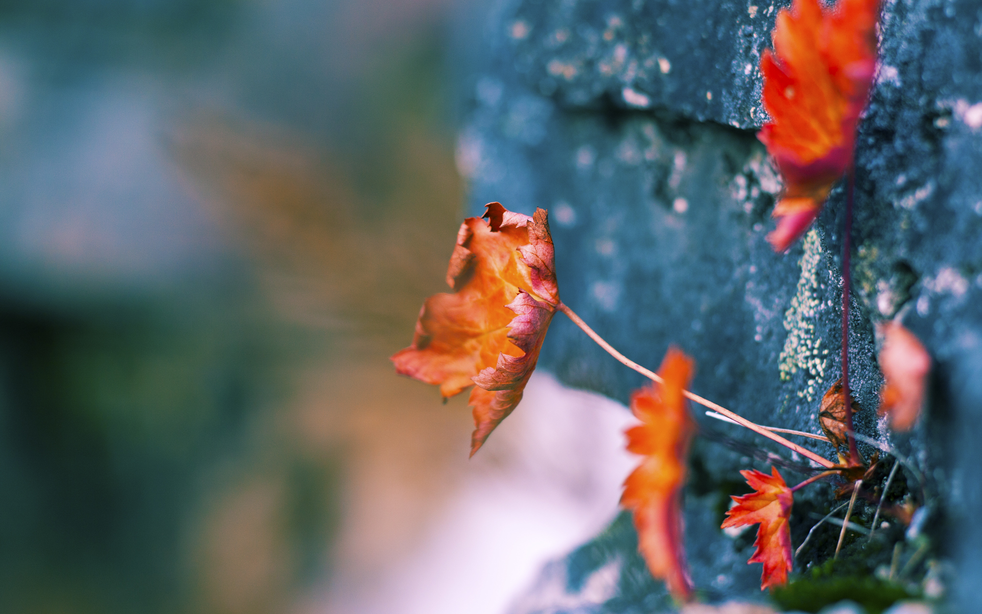 男子国家队尝试分组战术演练提高临场适应力