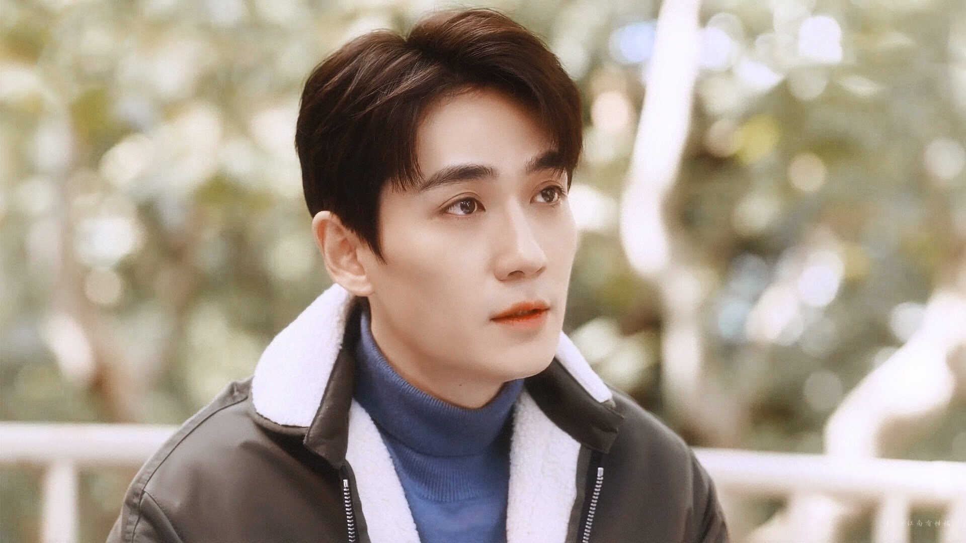 荷兰跳水老将稳定发挥引关注,荷兰选手被绊倒